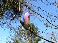 2009-04-11_10-03-57_0060