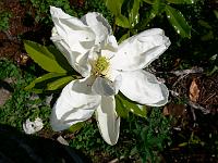 2008-07-02_07-31-06_0041