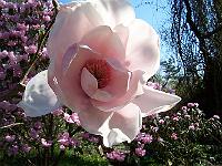 24-04-05kodak_174
