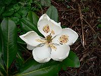 21-06-2007_20-46-46_24