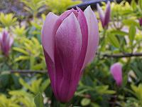 18-05-05kodak_161