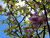 18-05-05kodak_162