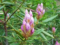 16-05-05kodak_027