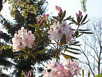 21-05-05kodak_125