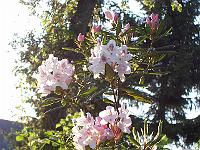 21-05-05kodak_126