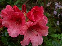 04-05-05kodak_077