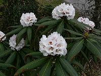 20-04-2006_10-57-24_20