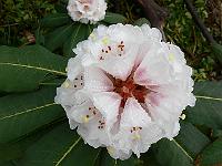 22-04-2006_08-00-15_01