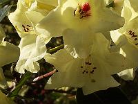 13-05-05kodak_012