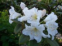09-06-05kodak_172