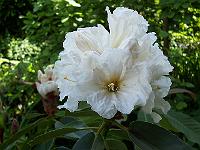 11-06-05kodak_173