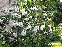 17-06-0canon_003