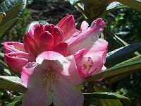 29-05-05kodak_019