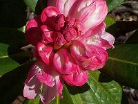 29-05-05kodak_020