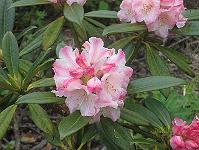31-05-05canon_023