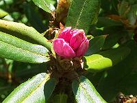29-05-05kodak_028