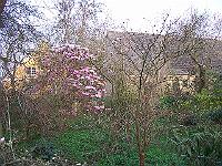 18-04-05kodak_001
