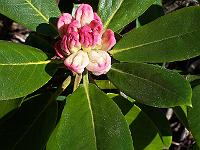 05-05-05kodak_169