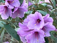 22-04-2006_19-39-04_122