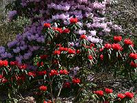 24-04-2006_14-39-40_19