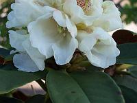 05-05-05kodak_076