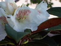 05-05-05kodak_109