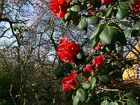 13-04-2007_10-03-28_74