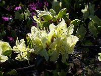 12-05-05kodak_144