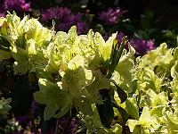 12-05-05kodak_145
