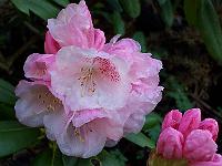 05-05-05kodak_046