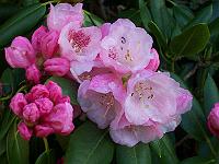 05-05-05kodak_047