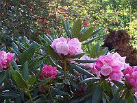 07-05-05kodak_023