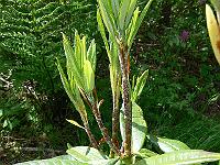 04-06-2006_11-03-50_32