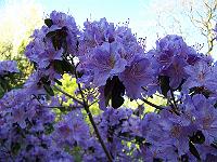 07-05-05kodak_013