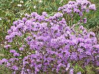 07-05-05kodak_180