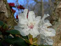 29-04-2006_09-15-17_05
