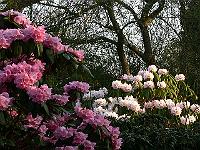 01-05-2006_07-43-04_109