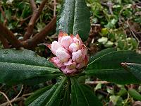 18-04-2006_08-52-58_56