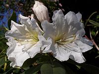 11-06-05kodak_008