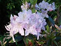 13-05-05kodak_029