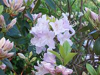 13-05-05kodak_031