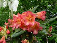 01-06-2006_10-01-10_25