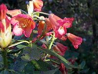 17-05-05kodak_312