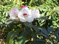 05-05-05kodak_156