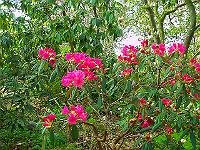 11-05-05kodak_026