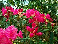 11-05-05kodak_027