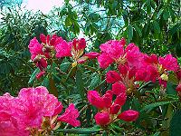 11-05-05kodak_029