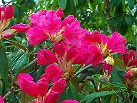 11-05-05kodak_030