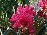 12-05-05kodak_014