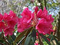 12-05-05kodak_015
